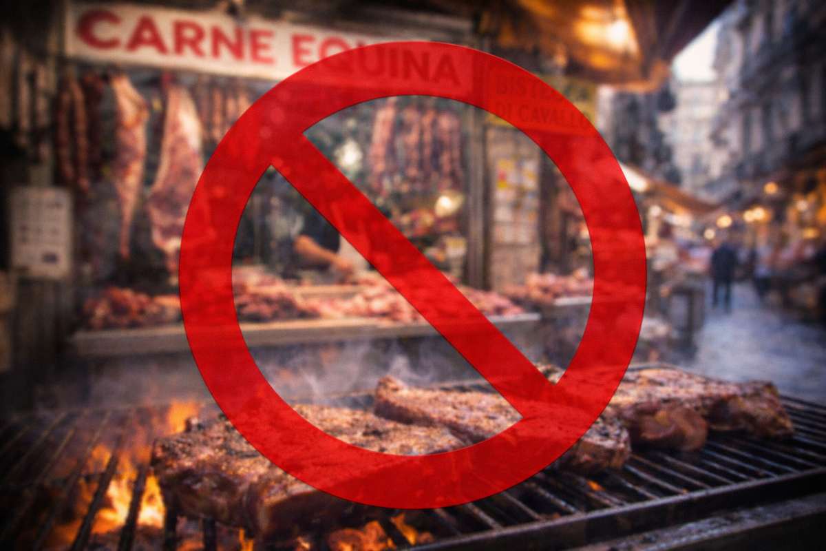 Sarà vietata la carne di cavallo in Italia?